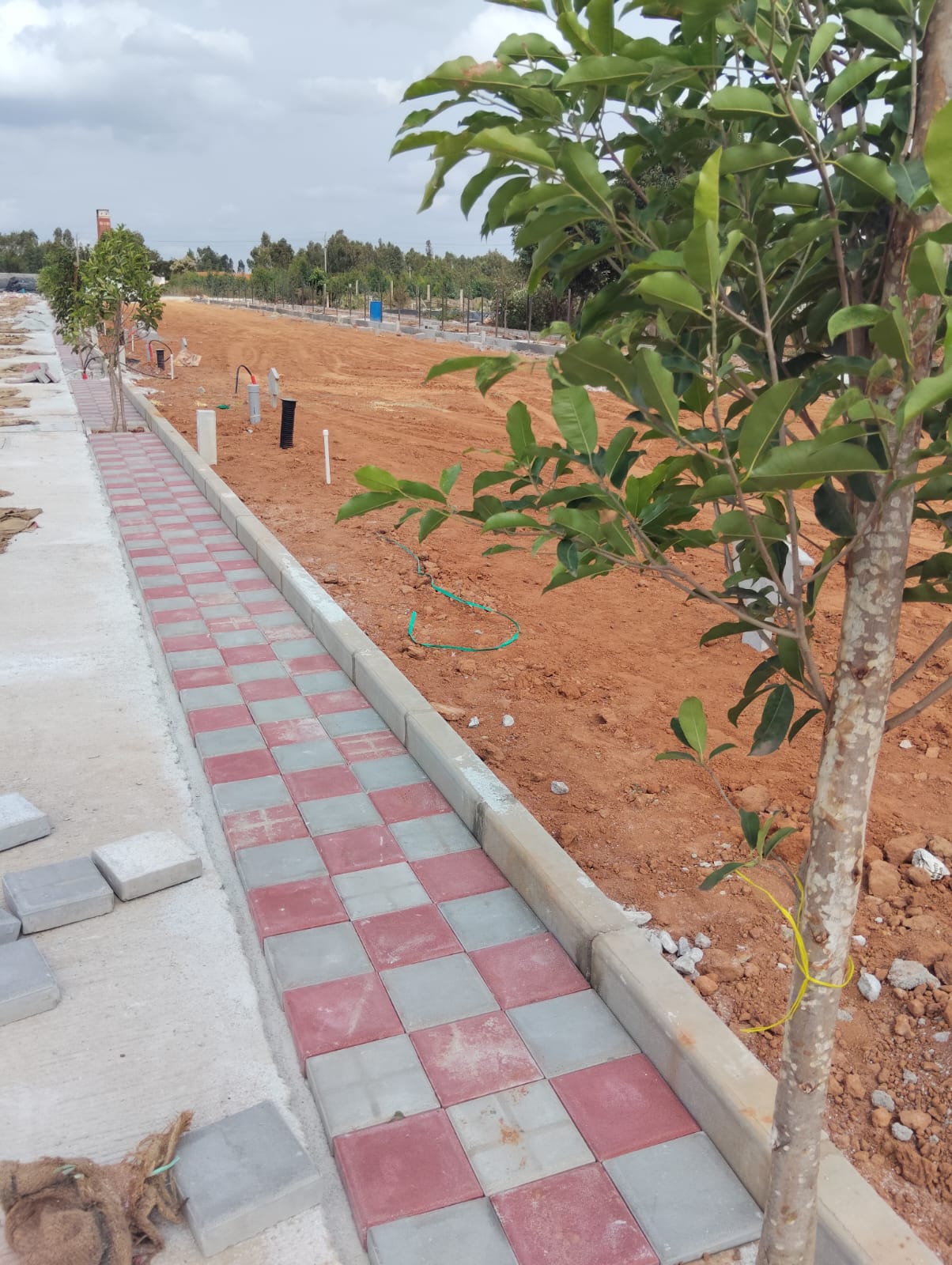 Snycon Green Avenue - Chokkondahalli, Malur, Karnataka