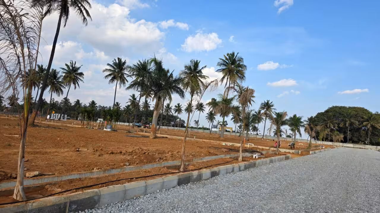 Snycon United Serenity - Plotted Layout with Coconut Trees Plotted Layout with Coconut Trees